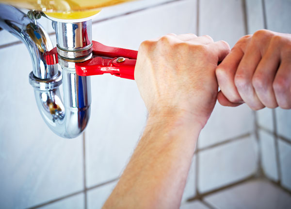 About Webster Plumbers